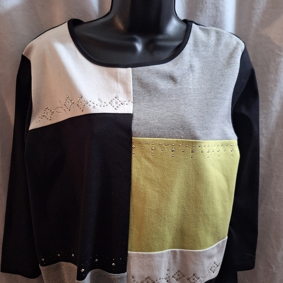 Colorblock Top with Embellishments - Picture 2 of 5